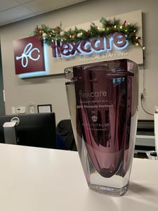 HealthTrust 2019 Pinnacle Partner Award_small